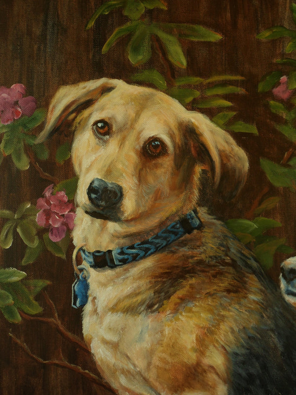 Custom Pet Portrait in Oil (Head & Shoulders)
