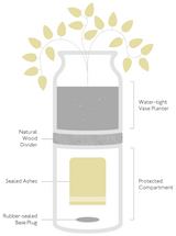The Vega Vase in White with Light Wood